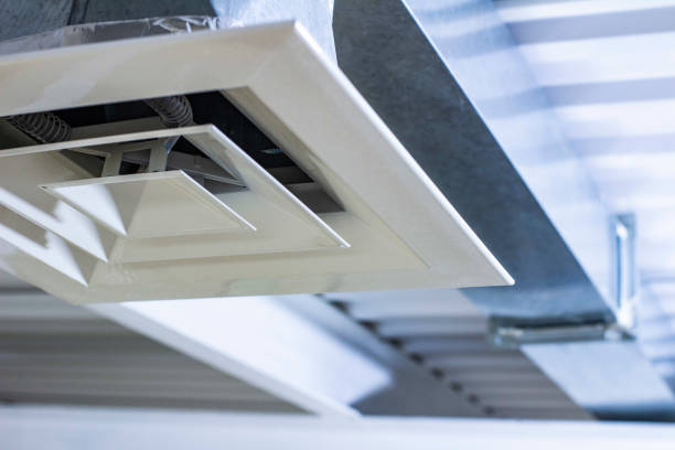 Air Duct Mold Removal in OH