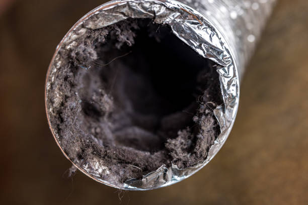 Best Affordable Air Duct Cleaning  in Forestville, OH